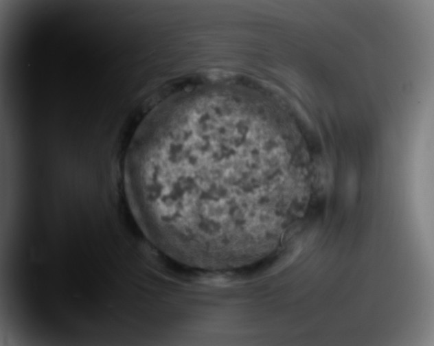 X0000087620523200705181315