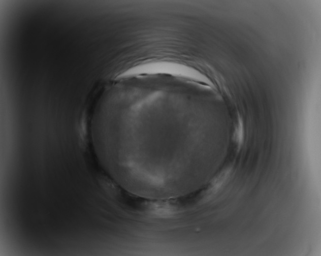 X0000087620524200705181315
