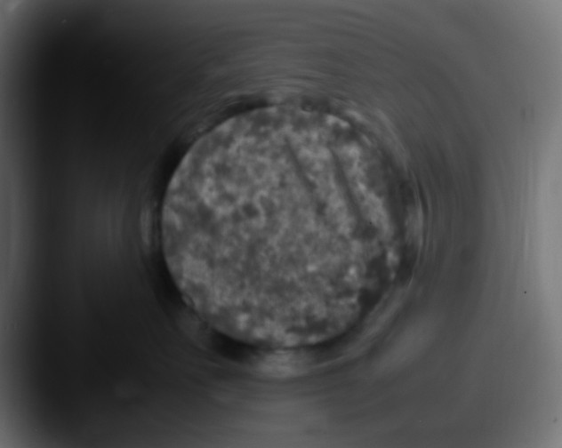 X0000087620527200705181315