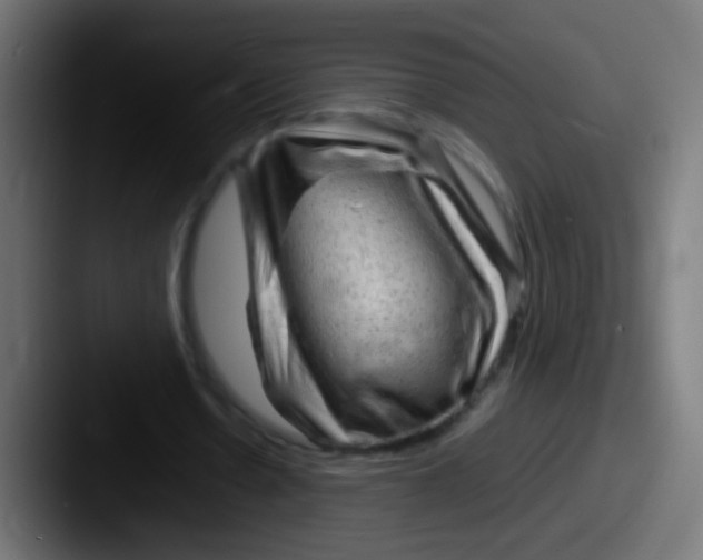 X0000087620530200705181314