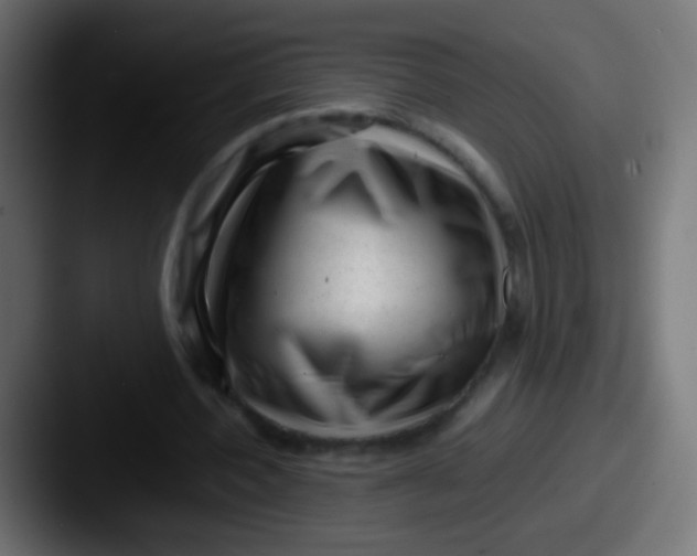 X0000087620532200705181315