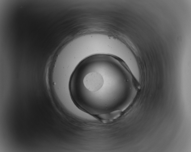 X0000087620534200705181315