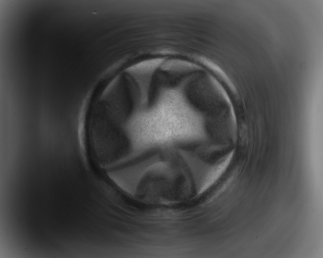 X0000087620535200705181315