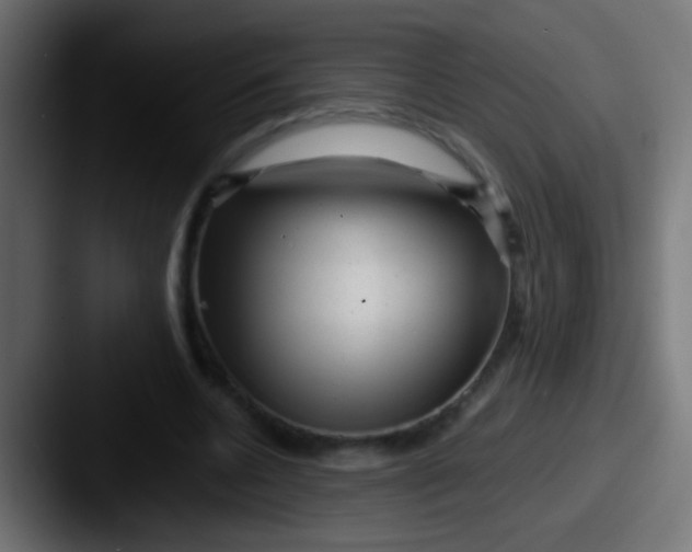 X0000087620536200705181315