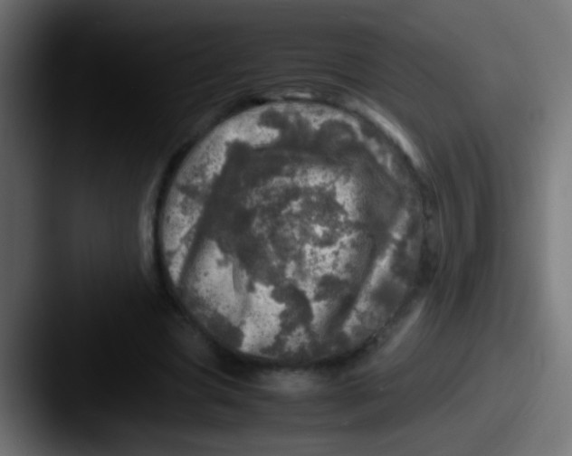 X0000087620537200705181315