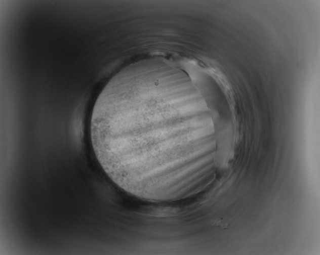 X0000087620539200705181315