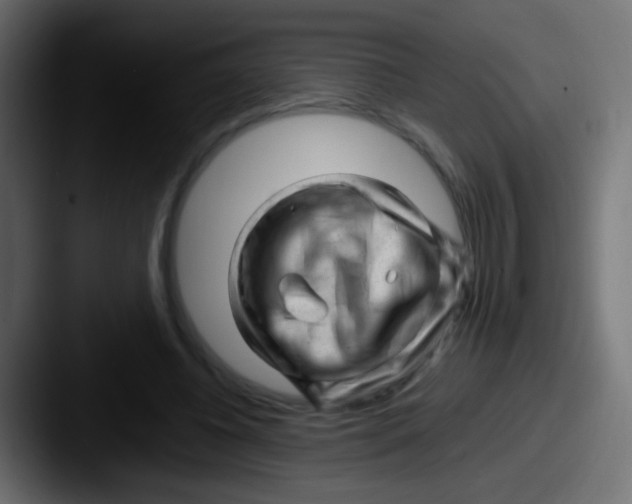 X0000087620540200705181315