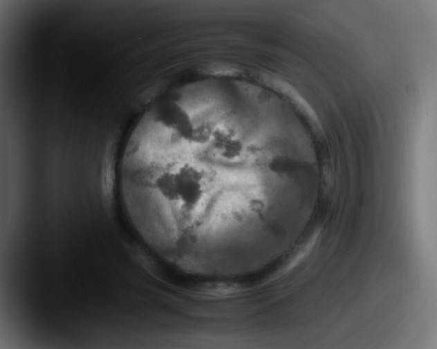 X0000087620541200705181315