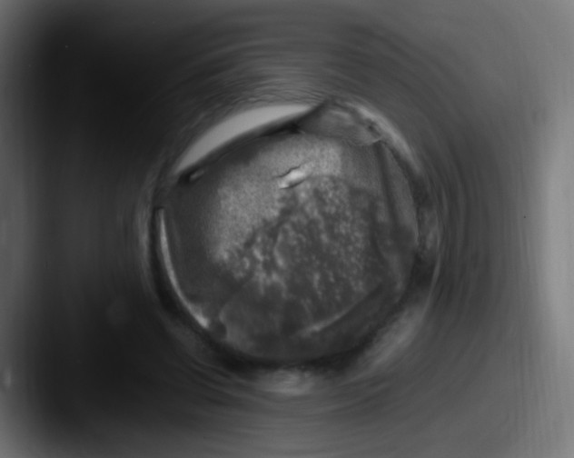 X0000087620542200705181315