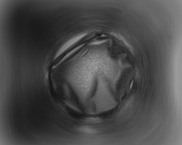 X0000087620543200705181315