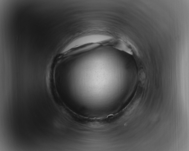 X0000087620544200705181315