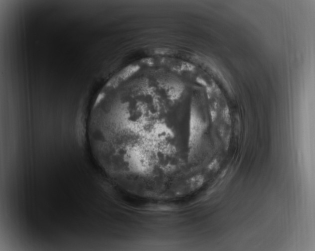 X0000087620545200705181315