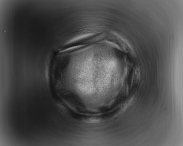 X0000087620546200705181315
