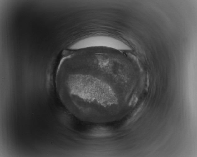 X0000087620547200705181315
