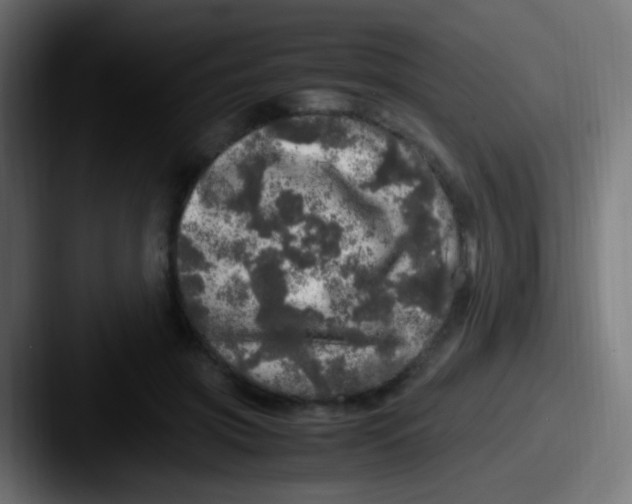 X0000087620549200705181315