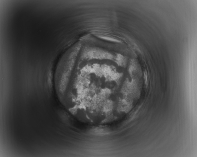 X0000087620550200705181315