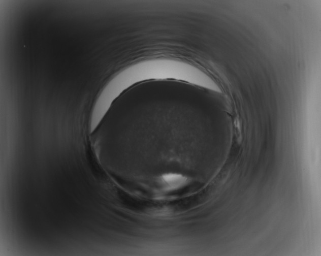 X0000087620551200705181315