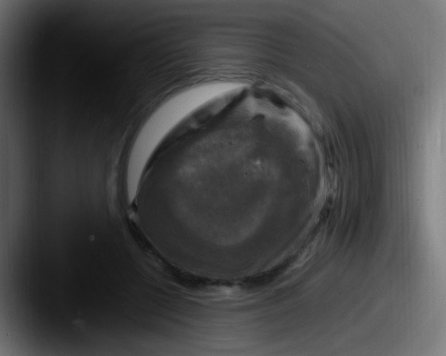 X0000087620552200705181315