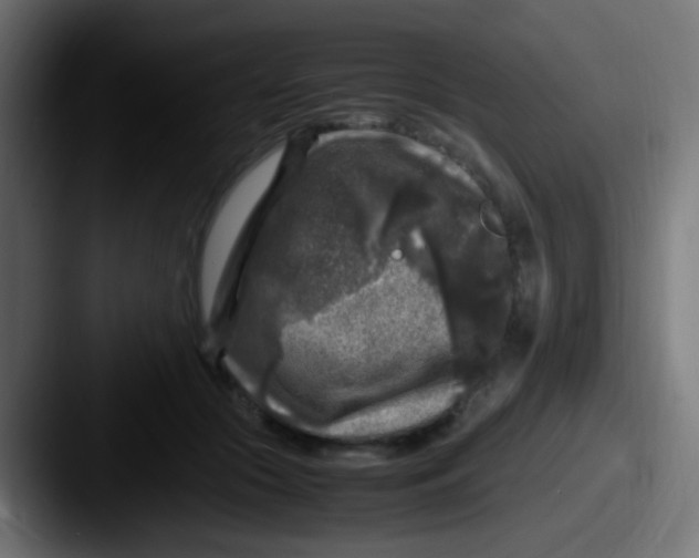 X0000087620553200705181315