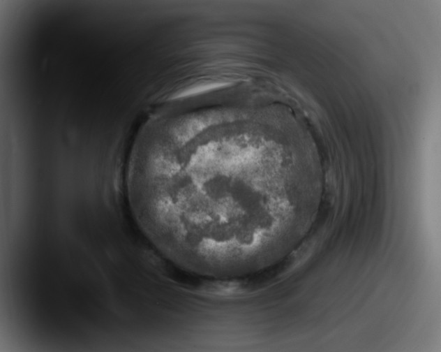 X0000087620554200705181315