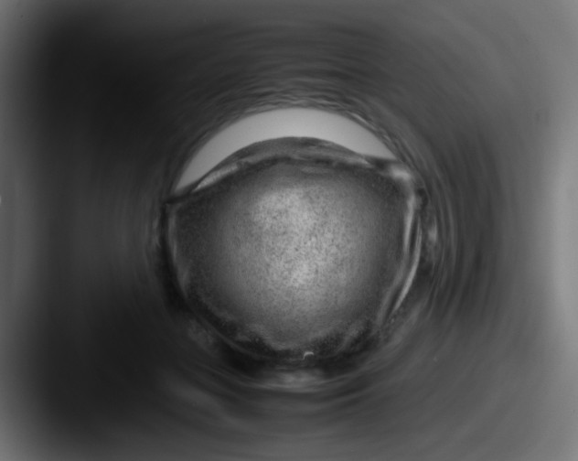 X0000087620555200705181315