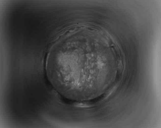 X0000087620557200705181315