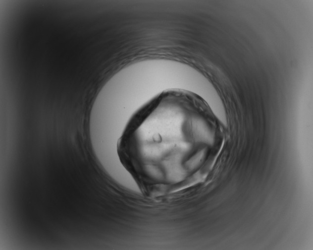 X0000087620558200705181315