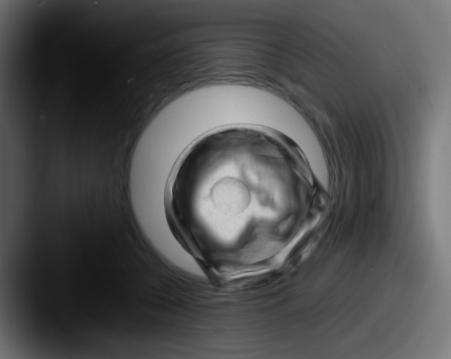 X0000087620560200705181315