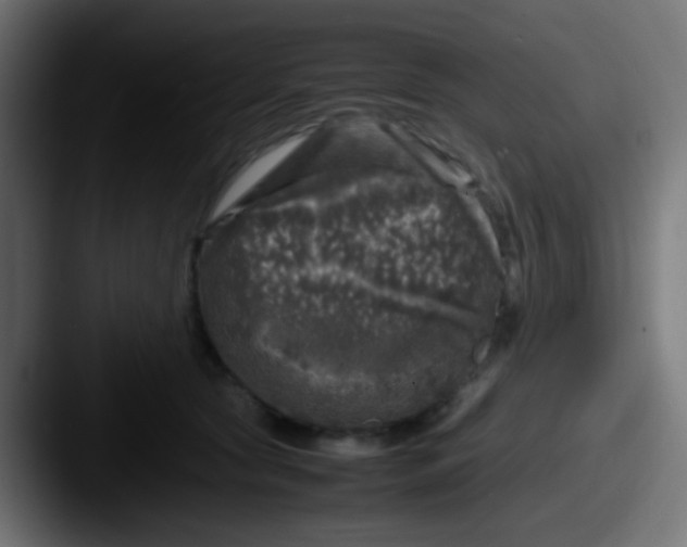 X0000087620561200705181315