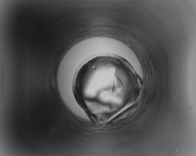 X0000087620562200705181315