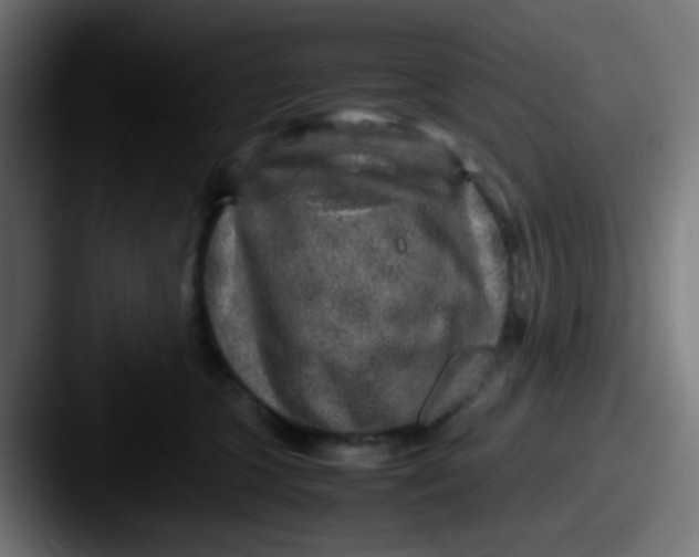 X0000087620563200705181315
