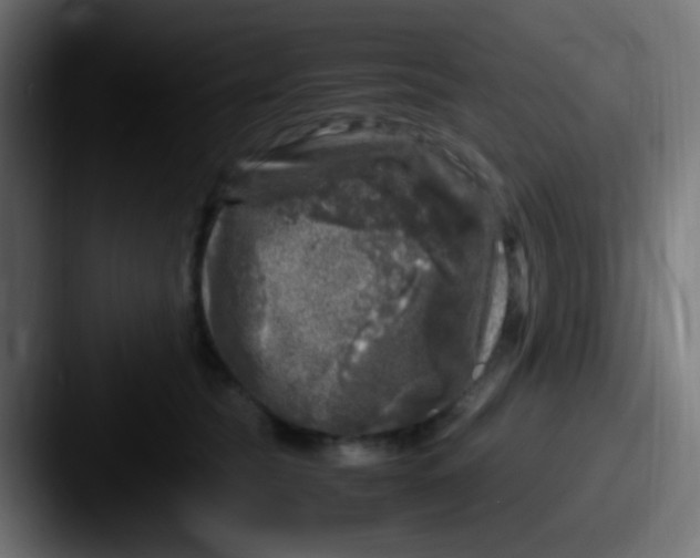 X0000087620565200705181315
