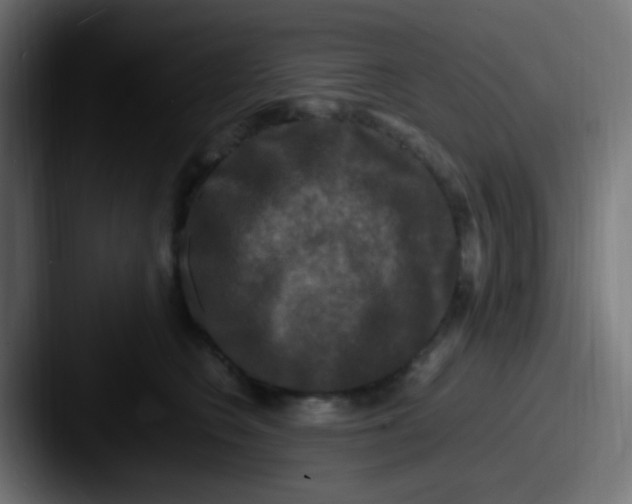 X0000087620566200705181315
