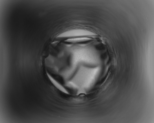 X0000087620567200705181315