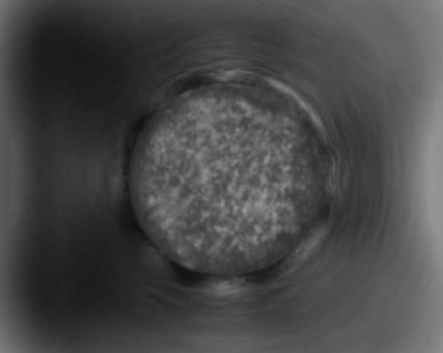 X0000087620569200705181315