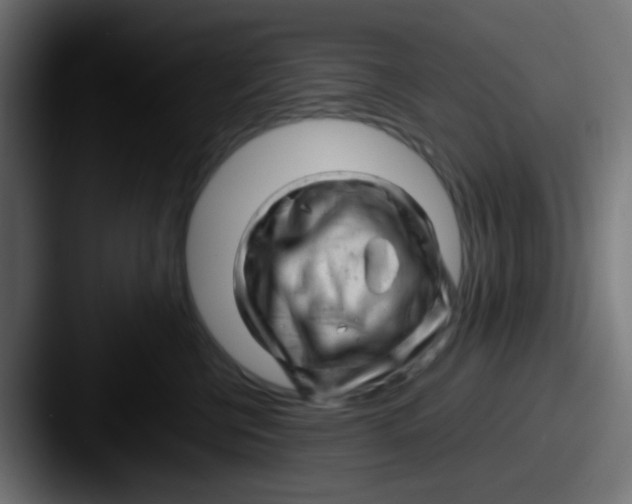 X0000087620570200705181315
