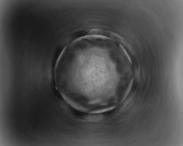 X0000087620571200705181315