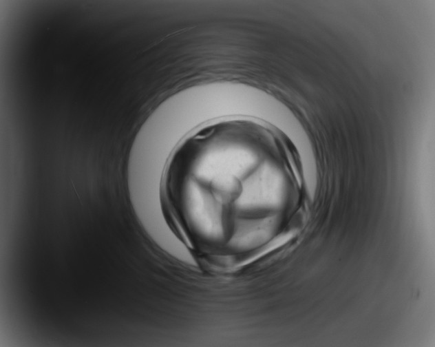 X0000087620572200705181315