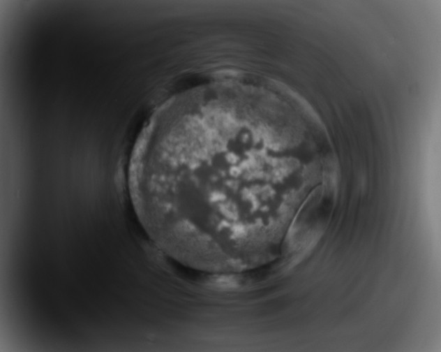 X0000087620573200705181315