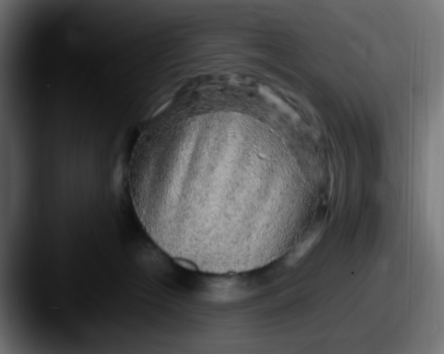 X0000087620574200705181315