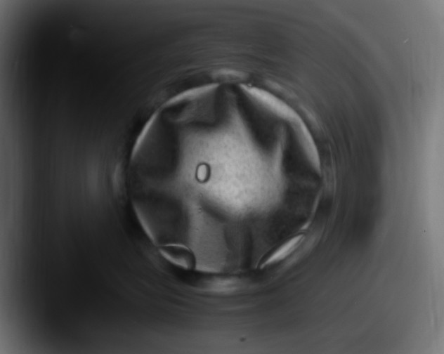 X0000087620575200705181315