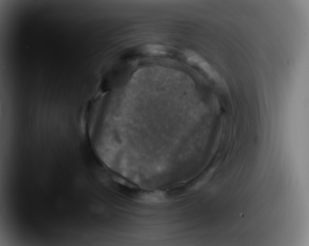 X0000087620576200705181315