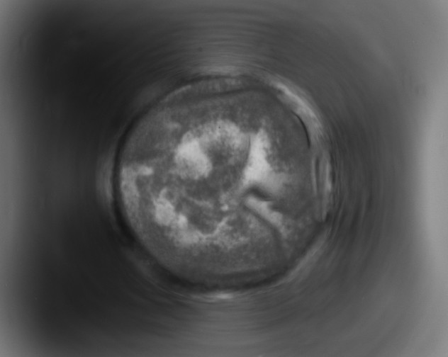 X0000087620578200705181314