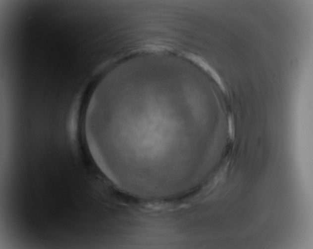 X0000087620579200705181314