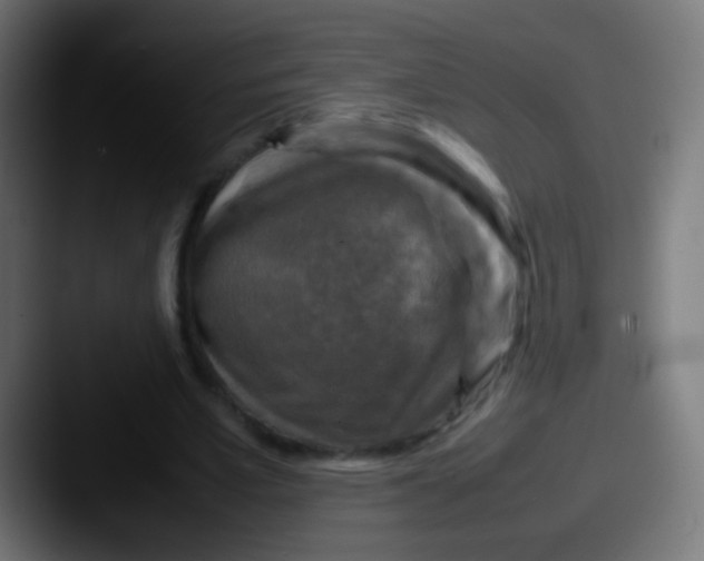 X0000087620581200705181314