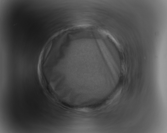 X0000087620583200705181314