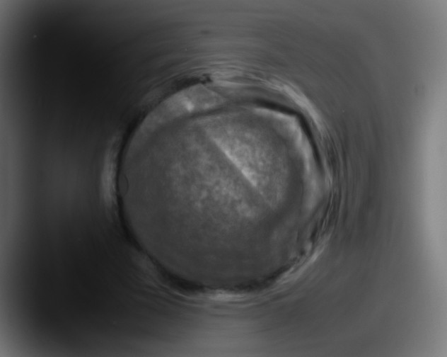 X0000087620585200705181314