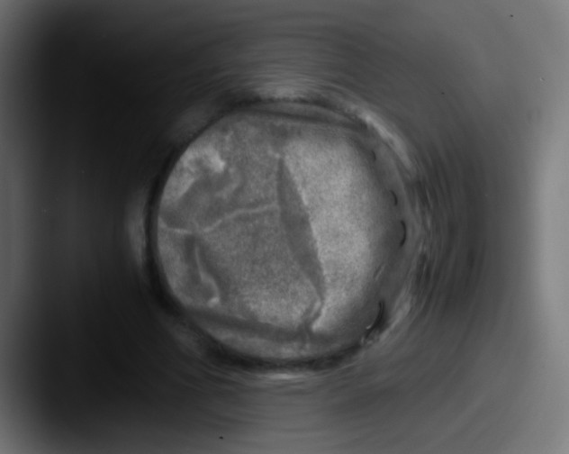 X0000087620586200705181314