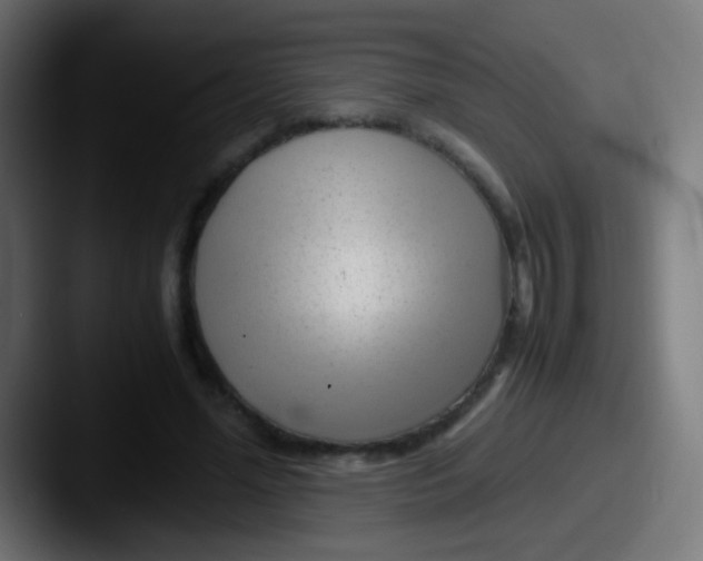 X0000087620588200705181314