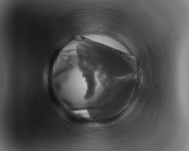 X0000087620590200705181314